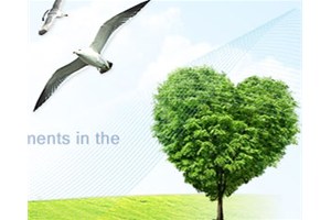 防腐木景觀的未來發(fā)展優(yōu)勢和發(fā)展特點！